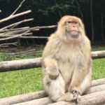 salem-lake-constance